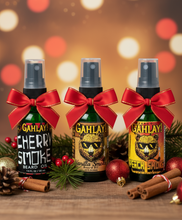 Load image into Gallery viewer, Myrtle Beach Pavilion 1980’s